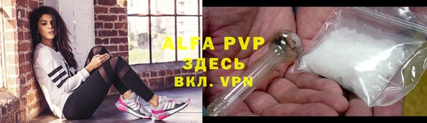 ешки Белокуриха