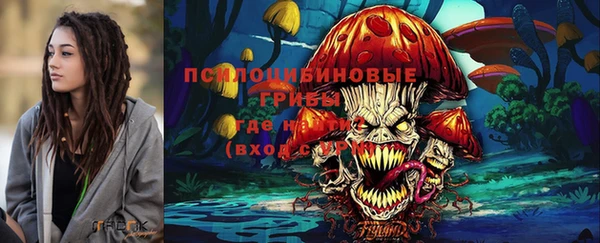 ешки Белокуриха