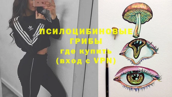спиды Белоозёрский