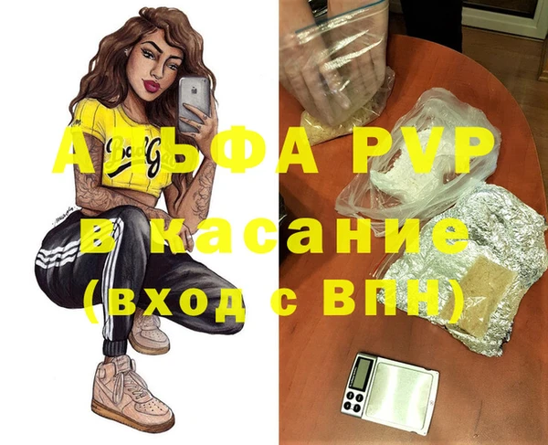 ешки Белокуриха
