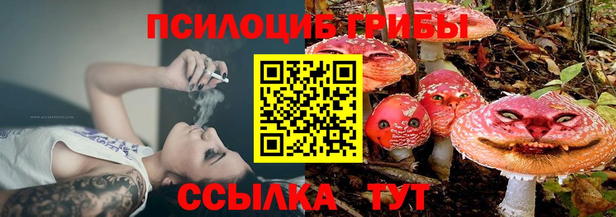 Галлюциногенные грибы Psilocybine cubensis Вязники